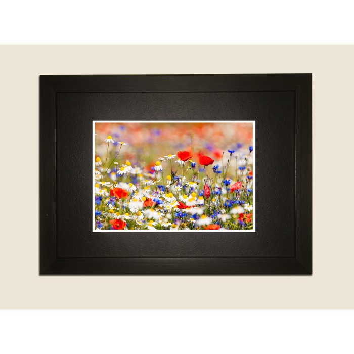 Картина в дизайнерской раме "Полевые цветы, ромашки, васильки" серии Black, 40х30см