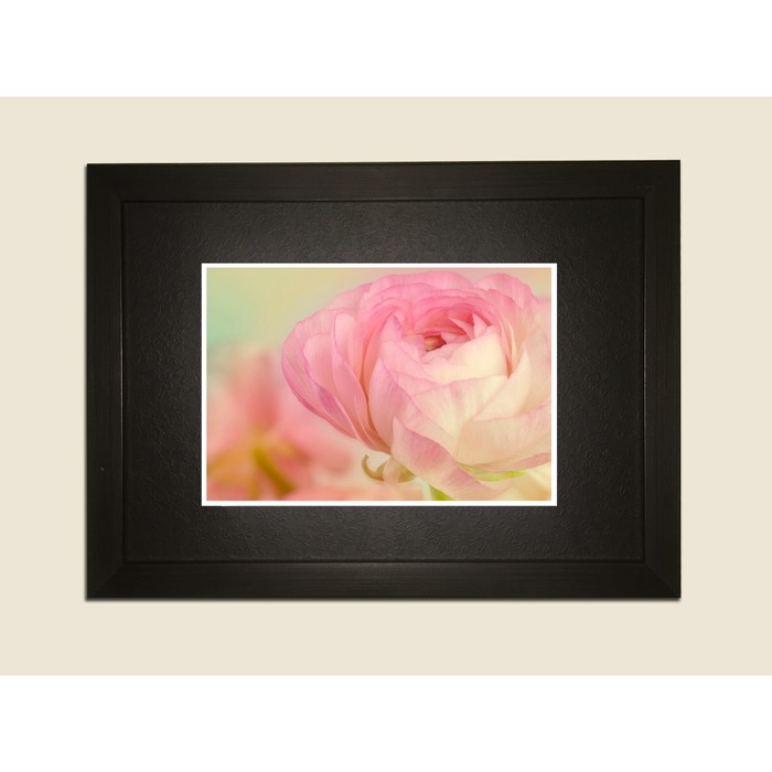 Картина в дизайнерской раме "Розовый пион" серии Black, 30х20см