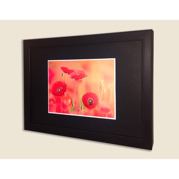 Картина в дизайнерской раме "Красные маки" серии Black, 30х20см