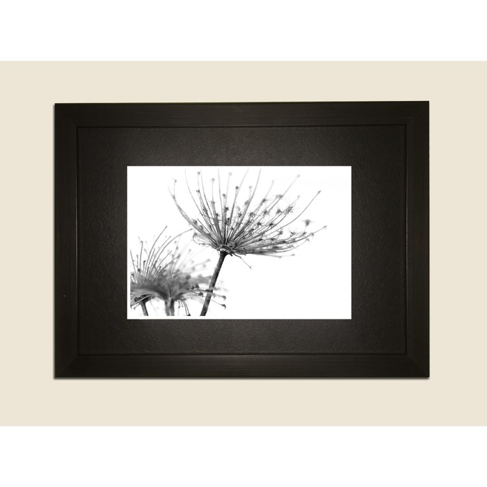 Картина в дизайнерской раме "Обыкновенный стильный одуванчик" серии Black, 40х30см
