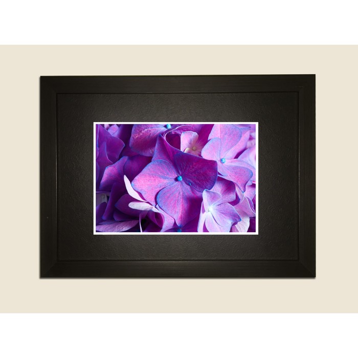 Картина в дизайнерской раме "Стильные гартензии" серии Black, 30х20см