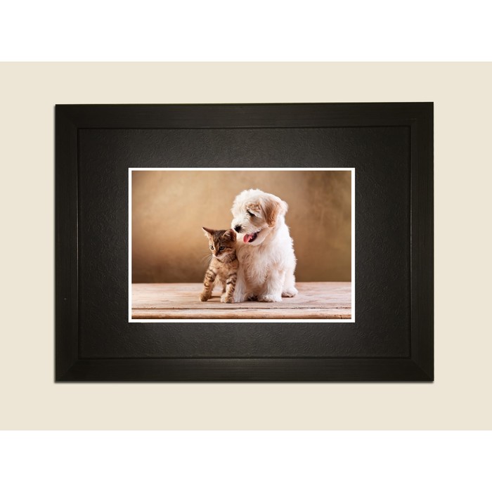 Картина в дизайнерской раме "Щенок и котёнок" серии Black, 40х30см