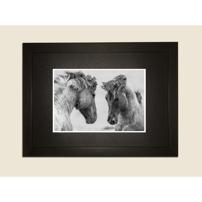 Картина в дизайнерской раме "Два коня" серии Black, 40х30см