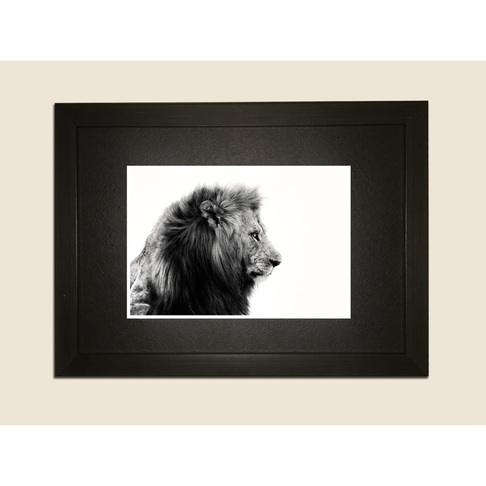 Картина в дизайнерской раме "Профиль льва" серии Black, 40х30см