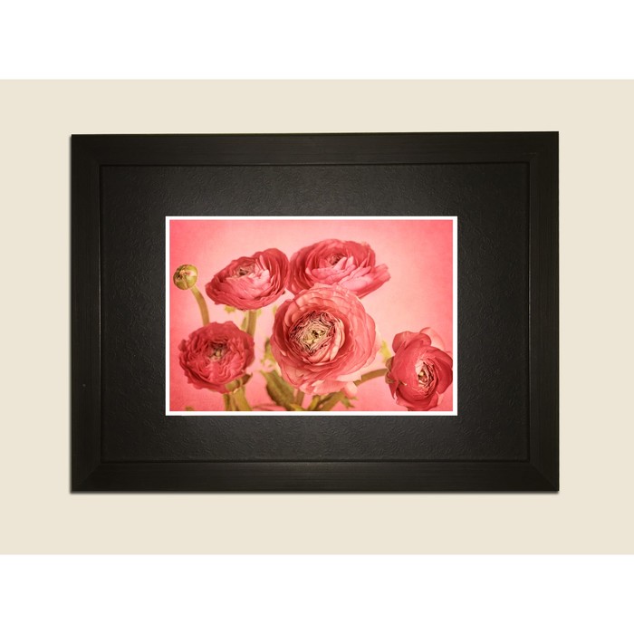 Картина в дизайнерской раме "Бордовые пионы" серии Black, 40х30см