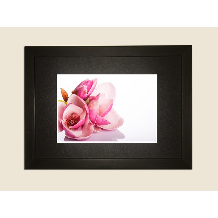 Картина в дизайнерской раме "Розовые цветки  вишни" серии Black, 40х30см