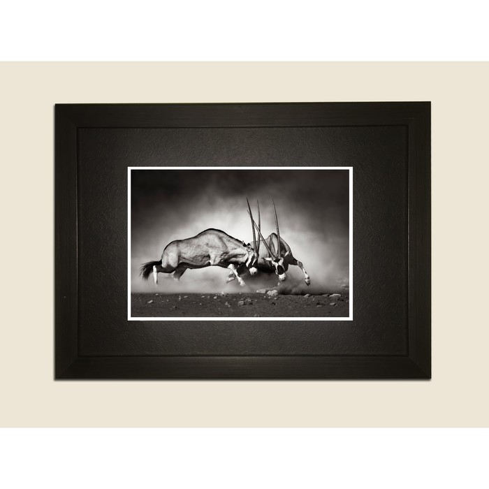Картина в дизайнерской раме "Кто сильнее?" серии Black, 40х30см