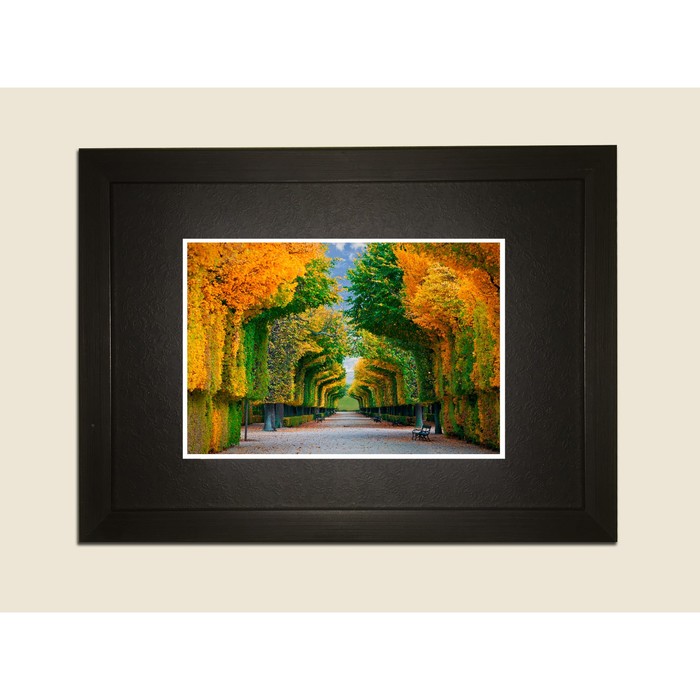 Картина в дизайнерской раме "Красивый необычный парк" серии Black, 40х30см