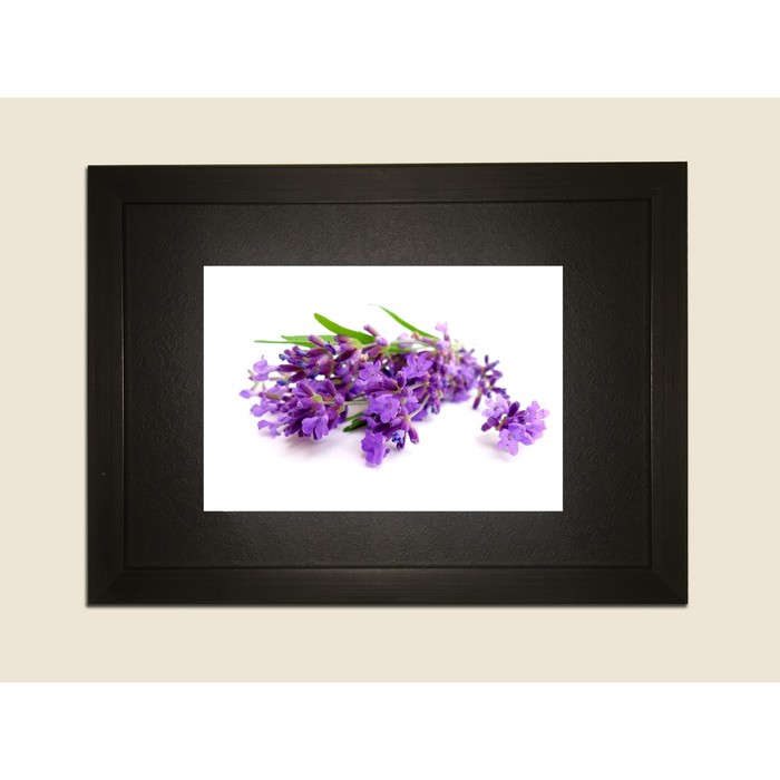 Картина в дизайнерской раме "Ветка сирени на белом фоне" серии Black, 40х30см