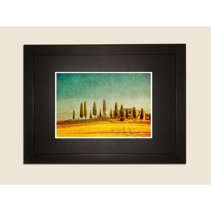 Картина в дизайнерской раме "Винтажные деревья" серии Black, 40х30см