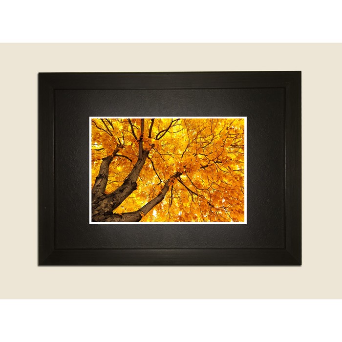 Картина в дизайнерской раме "Осеннее дерево" серии Black, 40х30см