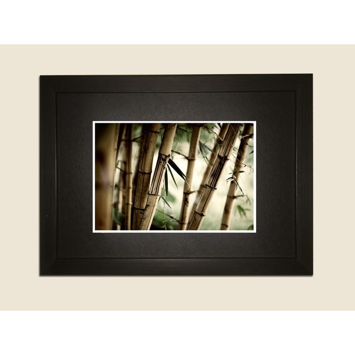 Картина в дизайнерской раме "Бамбук" серии Black, 40х30см