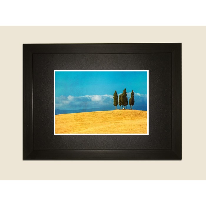Картина в дизайнерской раме "Деревья на пустом поле" серии Black, 30х20см