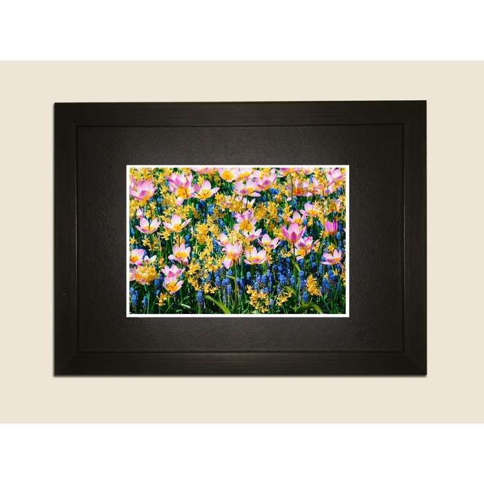 Картина в дизайнерской раме "Яркие полевые цветы" серии Black, 30х20см