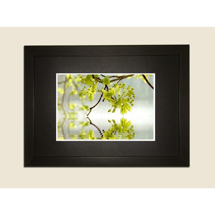 Картина в дизайнерской раме "Веточка в воде" серии Black, 40х30см