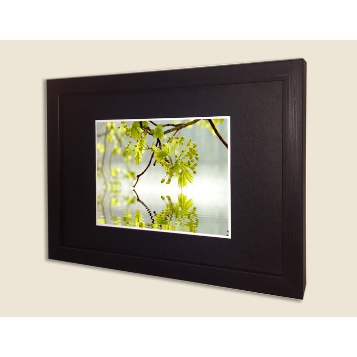 Картина в дизайнерской раме "Веточка в воде" серии Black, 40х30см