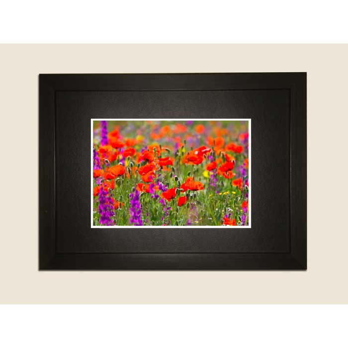 Картина в дизайнерской раме "Поле красных маков" серии Black, 30х20см
