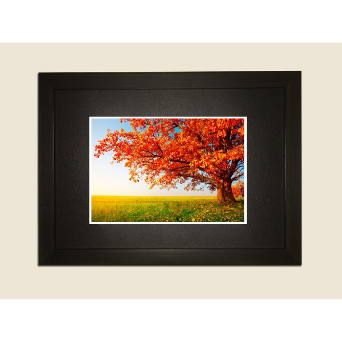 Картина в дизайнерской раме "Дерево золотой осени" серии Black, 40х30см