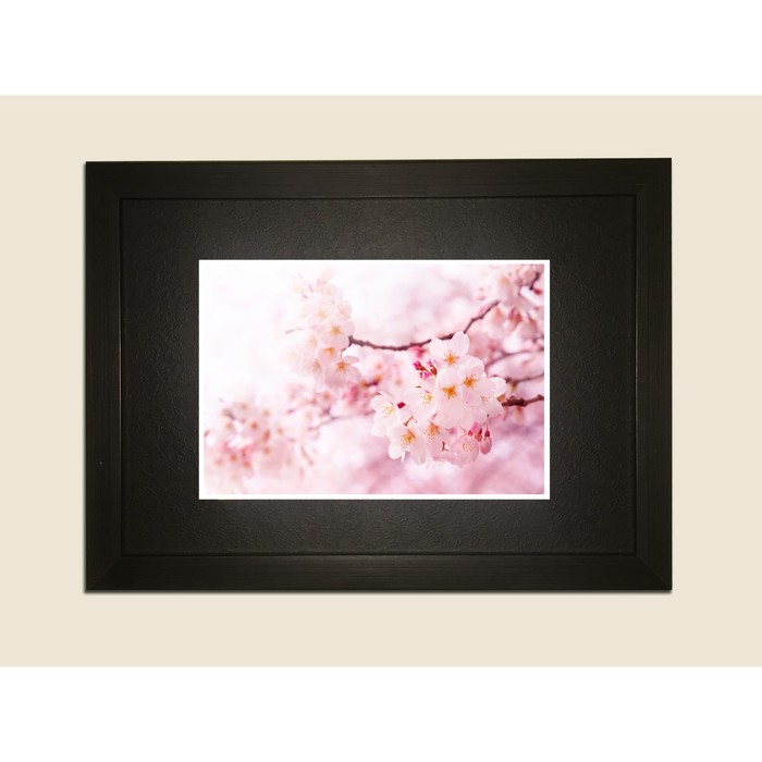 Картина в дизайнерской раме "Розовые цветочки сакуры" серии Black, 30х20см