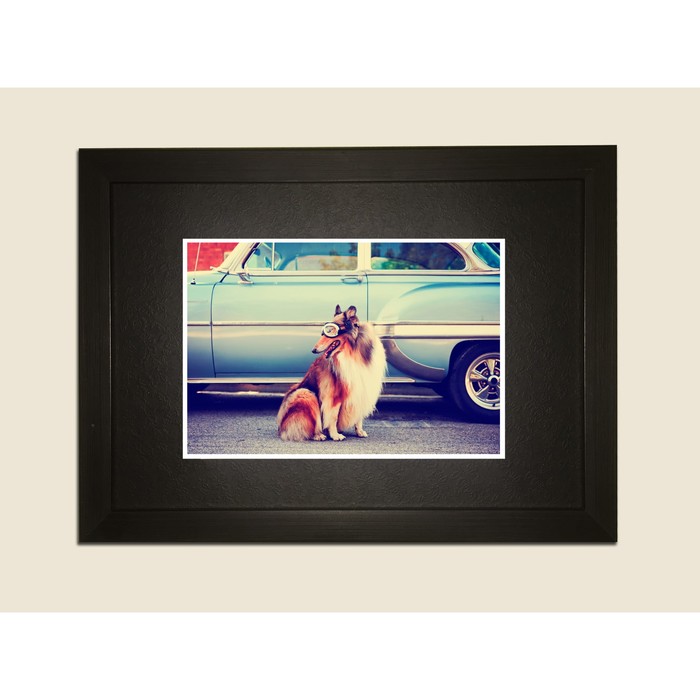 Картина в дизайнерской раме "Красивый пёс" серии Black, 30х20см