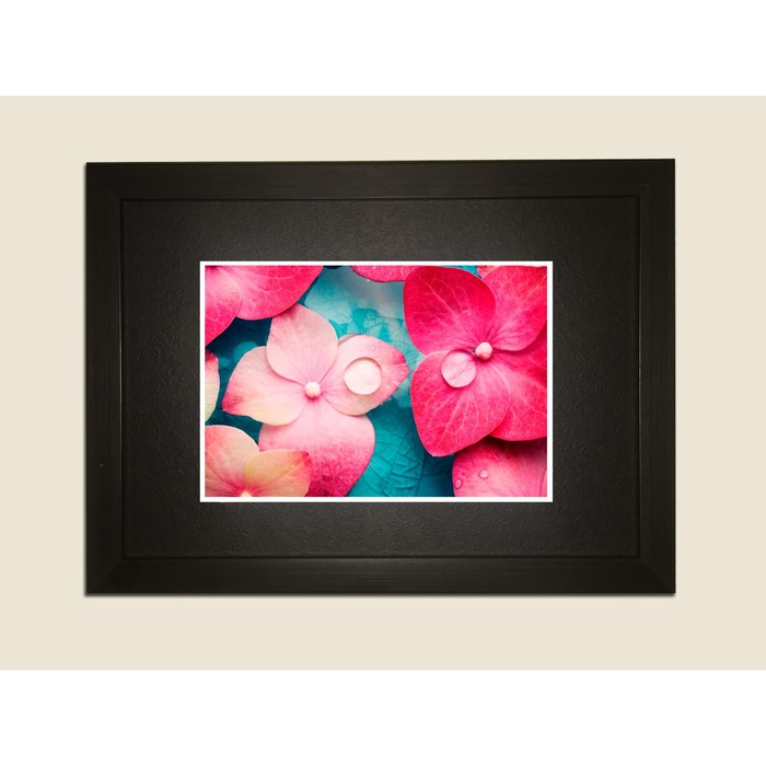 Картина в дизайнерской раме "Стильные цветочные бутоны" серии Black, 30х20см