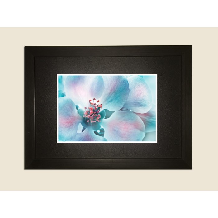 Картина в дизайнерской раме "Голубой цветочный бутон" серии Black, 30х20см