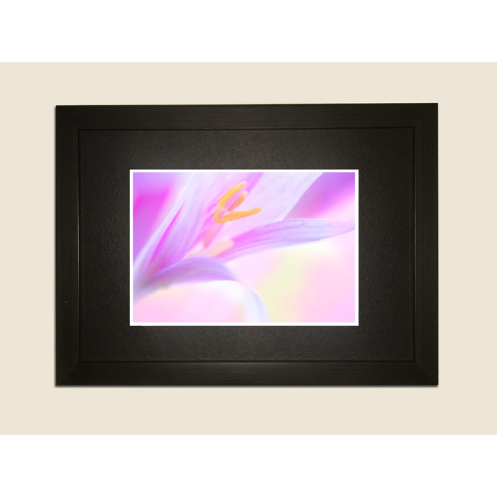 Картина в дизайнерской раме "Сиреневый цветок" серии Black, 30х20см