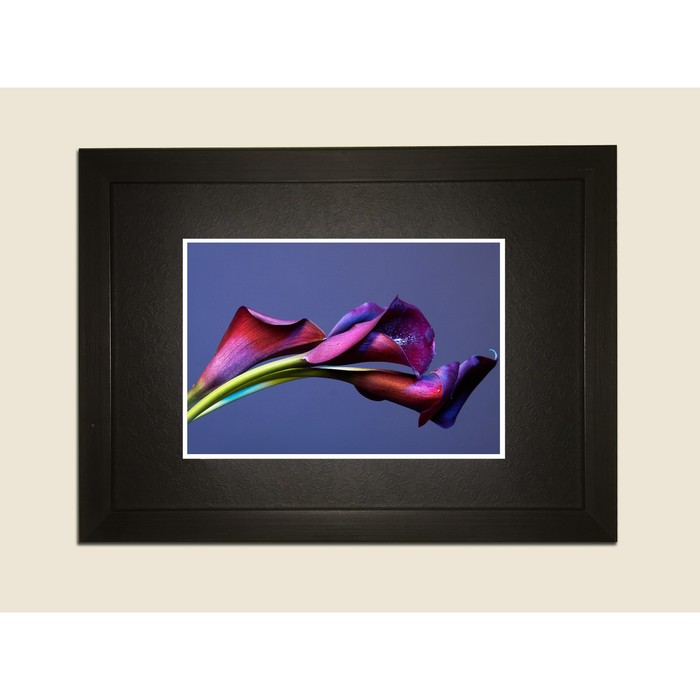 Картина в дизайнерской раме "Стильный, строгий букет фиолетовых лилий" серии Black, 30х20см   292298