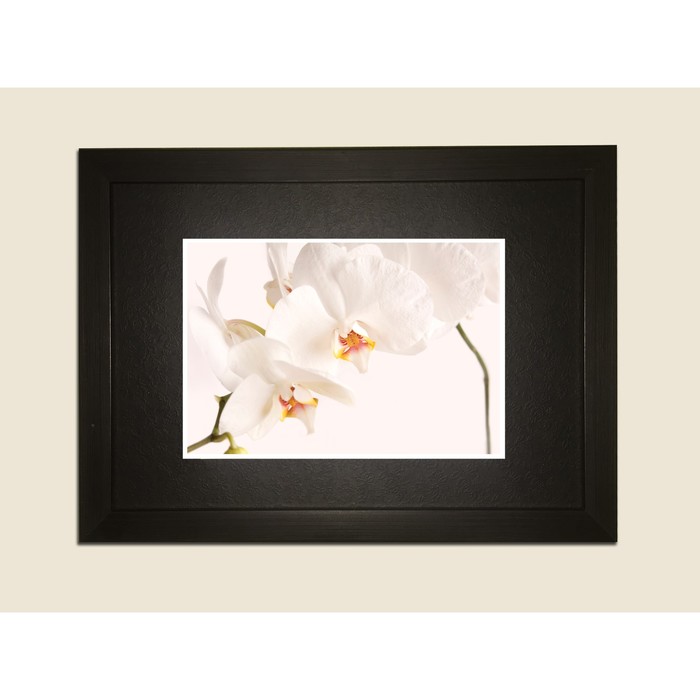 Картина в дизайнерской раме "Белые орхидеи" серии Black, 40х30см
