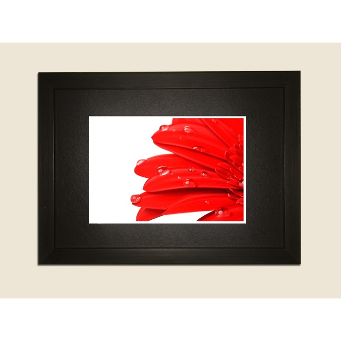 Картина в дизайнерской раме "Красные цветочные лепестки" серии Black, 40х30см
