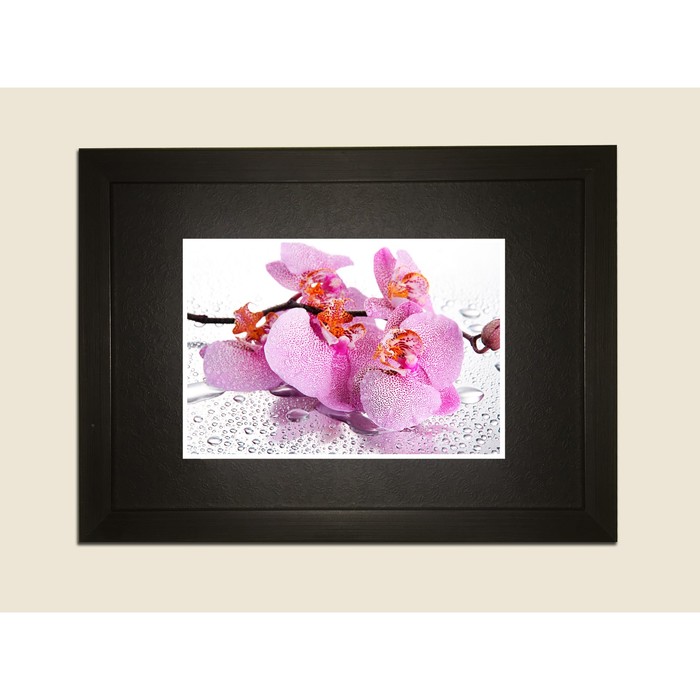 Картина в дизайнерской раме "Белая с розовой сердцевиной орхидея" серии Black, 40х30см