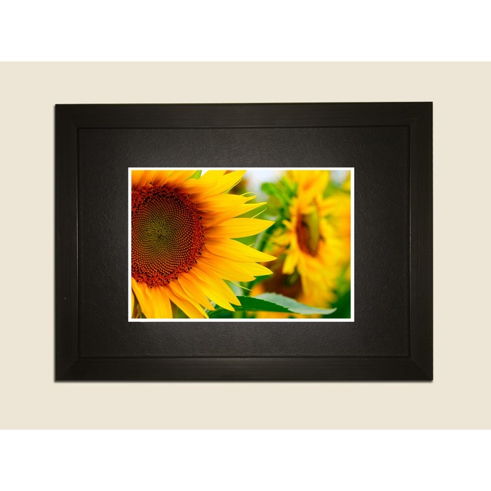 Картина в дизайнерской раме "Желтый подсолнух" серии Black, 40х30см