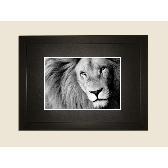 Картина в дизайнерской раме "Лев" серии Black, 30х20см