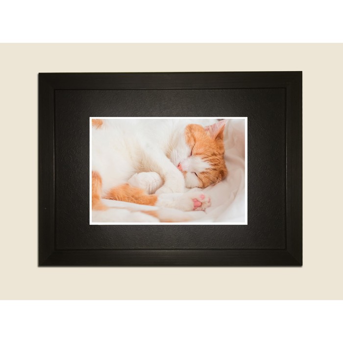 Картина в дизайнерской раме "Киса спит" серии Black, 30х20см