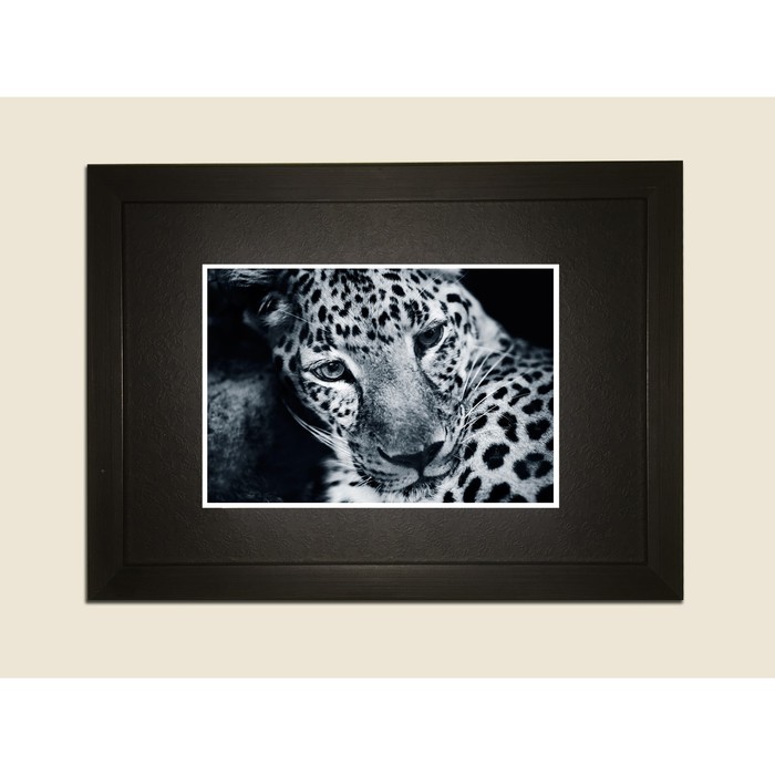 Картина в дизайнерской раме "Добрый и пушистый ягуар" серии Black, 30х20см