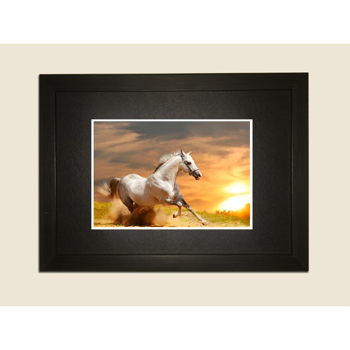 Картина в дизайнерской раме "Белый жеребец" серии Black, 30х20см