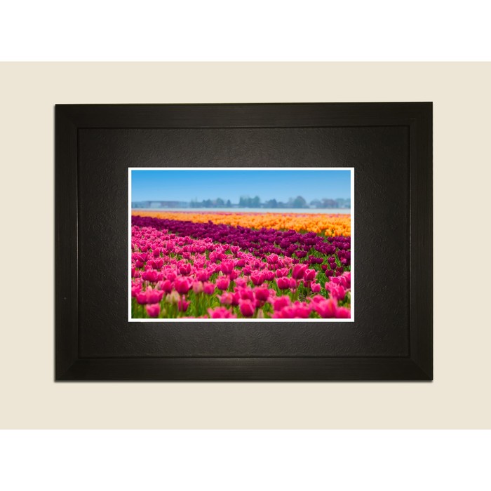 Картина в дизайнерской раме "Поле тюльпанов" серии Black, 30х20см