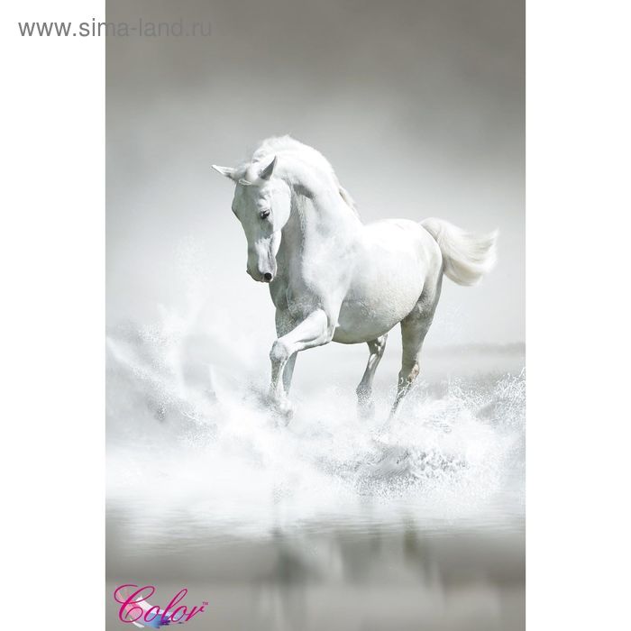 Панно Белая лошадь К-201 (2 полотна), 200x300 см