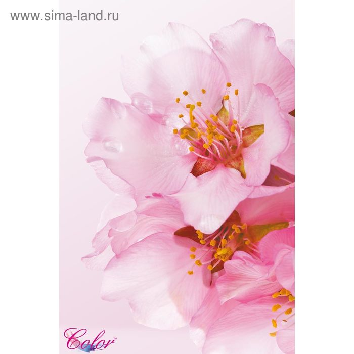 Панно Розовый цветок К-202 (2 полотна), 200x300 см