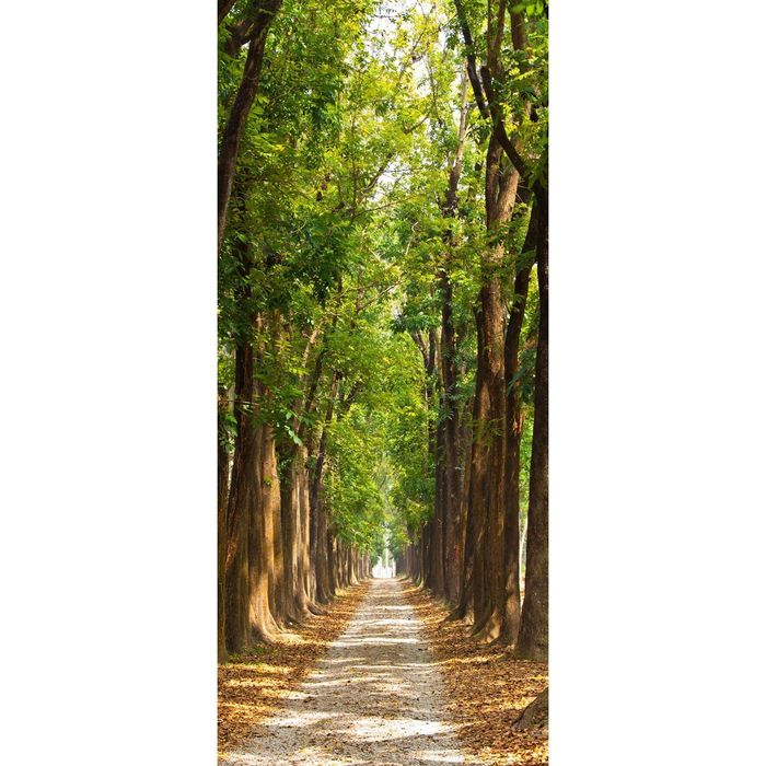 Фотообои "Тенистая аллея" С-025 (1 полотно), 95x220 см