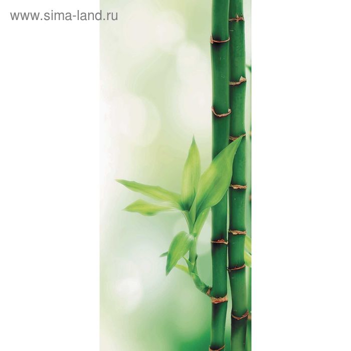Фотообои Росток бамбука С-029 (1 полотно), 95x220 см фотообои росток бамбука с 029 1 полотно 95x220 см