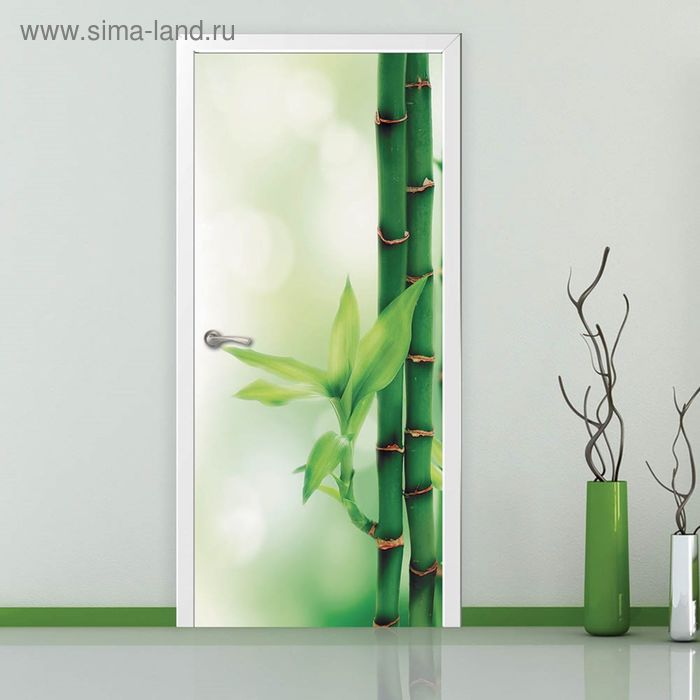 фото Фотообои "росток бамбука" с-029 (1 полотно), 95x220 см antimarker door's