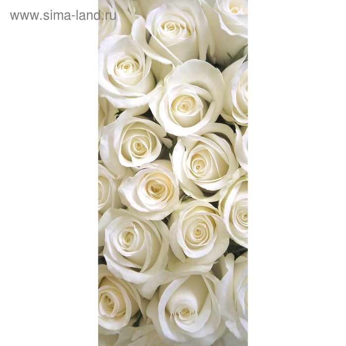 Фотообои Белые розы С-052 (1 полотно), 95x220 см