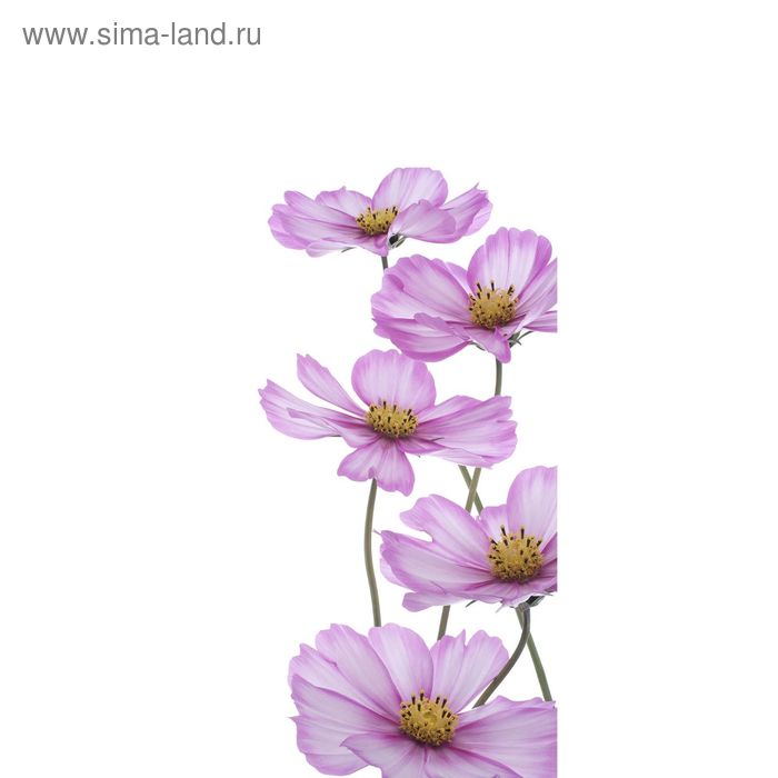 цена Фотообои Сиреневые цветы С-056 (1 полотно), 95x220 см