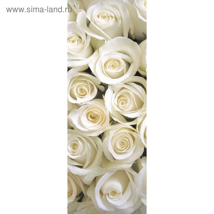 Фотообои Белые розы M 106 (1 полотно), 100х270 см