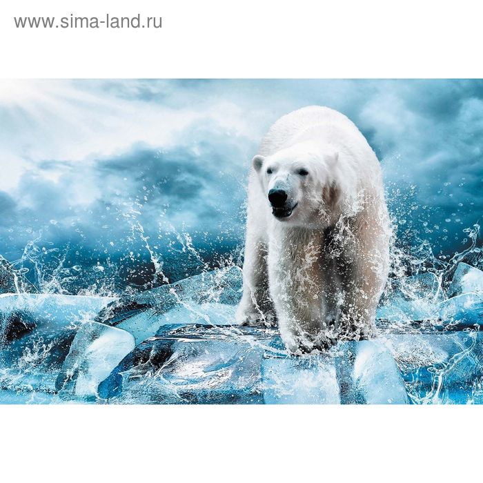 Фотообои Медведь во льдах M 606 (2 полотна), 200х135 см