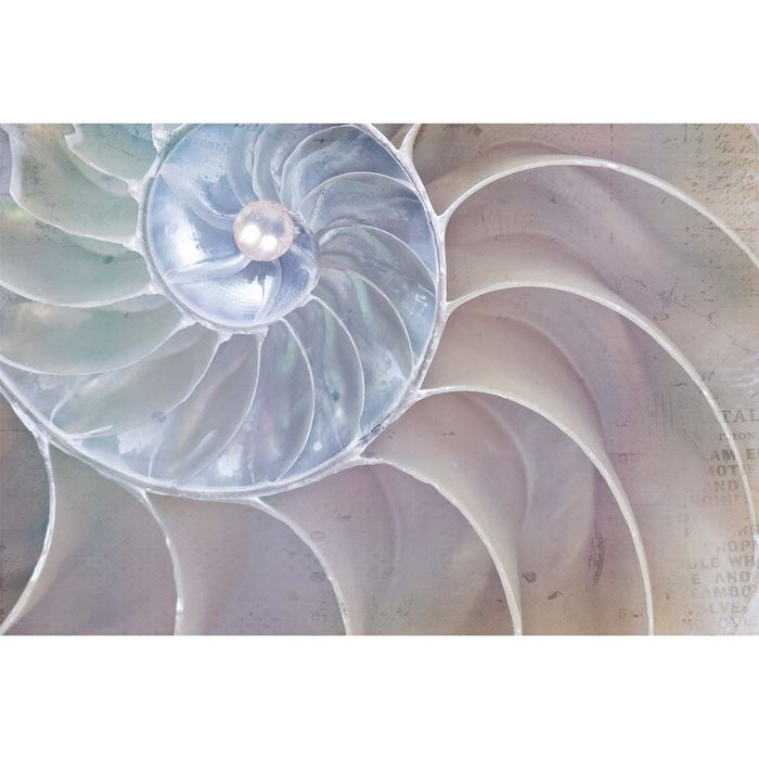 Фотообои "Рождение жемчужины" M 636 (2 полотна), 200х135 см