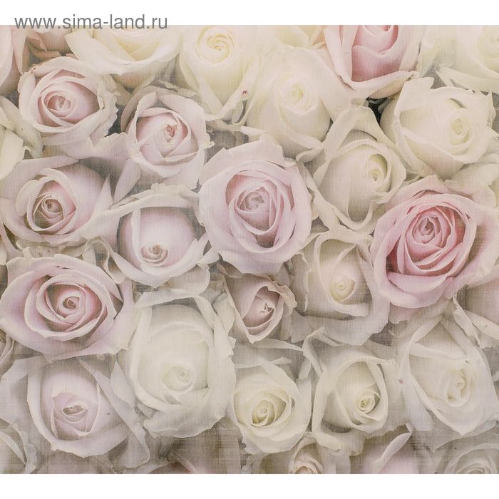 Фотообои Розовая нежность M 518 (2 полотна), 200х180 см