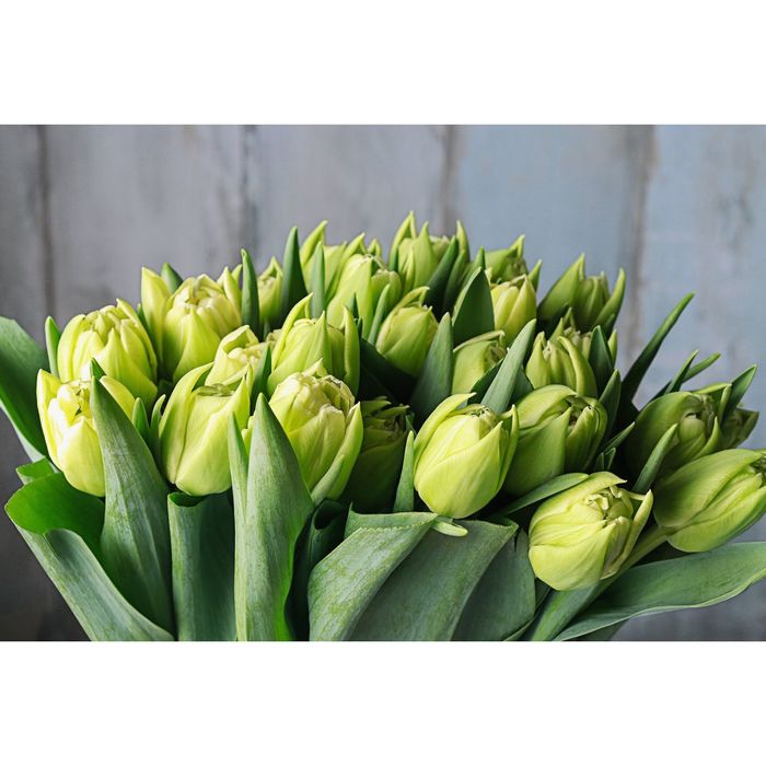 Фотообои "Весна" M 791 (3 полотна), 300х200 см