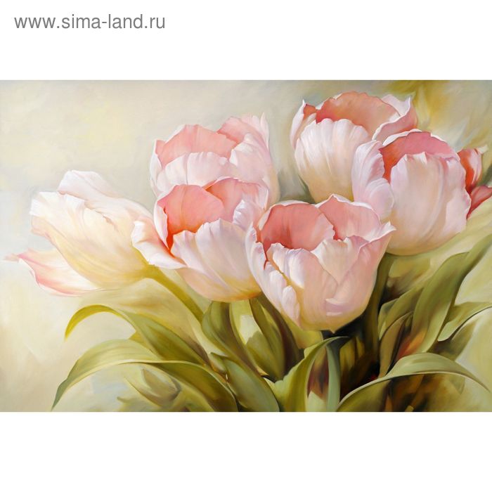 Фотообои Нежный тюльпан M 459 (4 полотна), 400х270 см